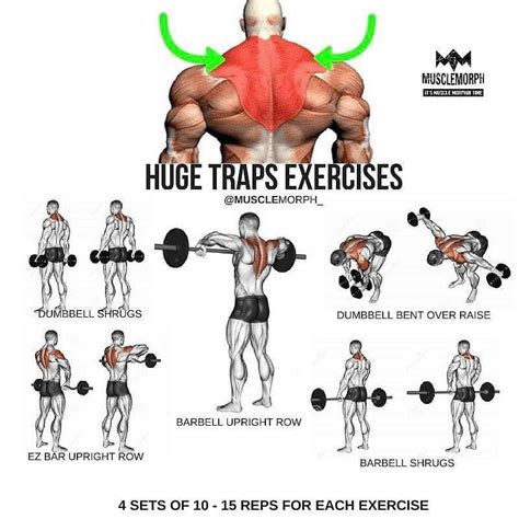 traps with back or shoulders.